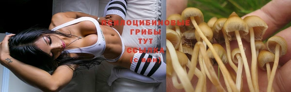 MDMA Premium VHQ Бугульма